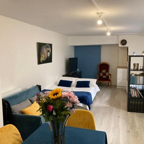 Une chambre chez nous, à 12 minutes de Paris, hotel Malakoffban