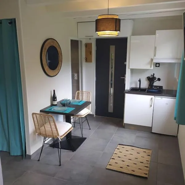 Chambre avec cuisine, entrée et terrasse privée !, hotel a Curienne