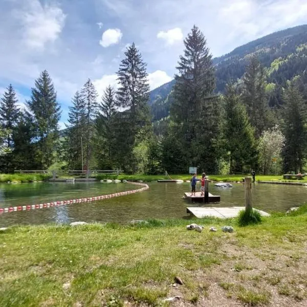 Disentis में, होटल Stilvolle Wohnung mit traumhaftem Bergblick