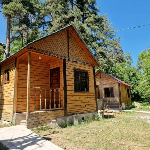 Cottages in forest, hotel em Kachretʼi