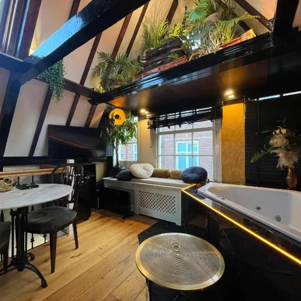 The smallest hotel in Amsterdam，阿姆斯特丹的飯店