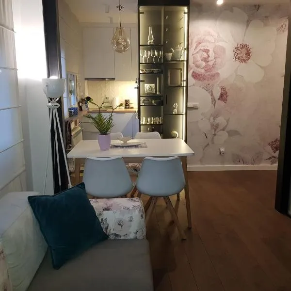 Emily apartment, hotel v Bělehradě