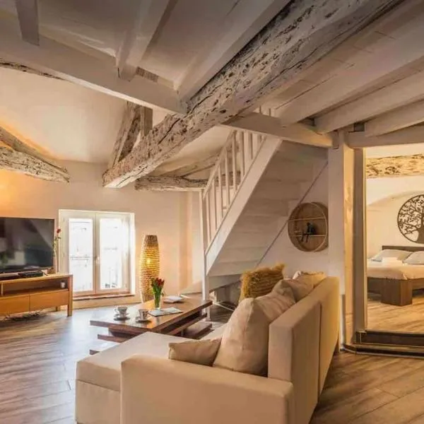 Appartement cocooning, climatisé, au cœur d’Agen – hotel w mieście Agen