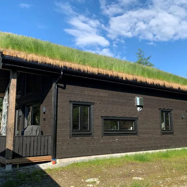 Skarvruet Lodge Funäsdalen, hotel v destinaci Tänndalen