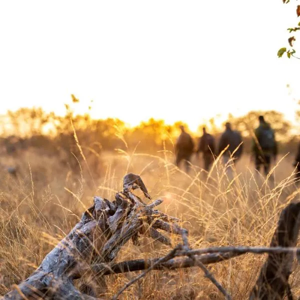 Simbavati Trails Camp, hotel en Reserva Timbavati