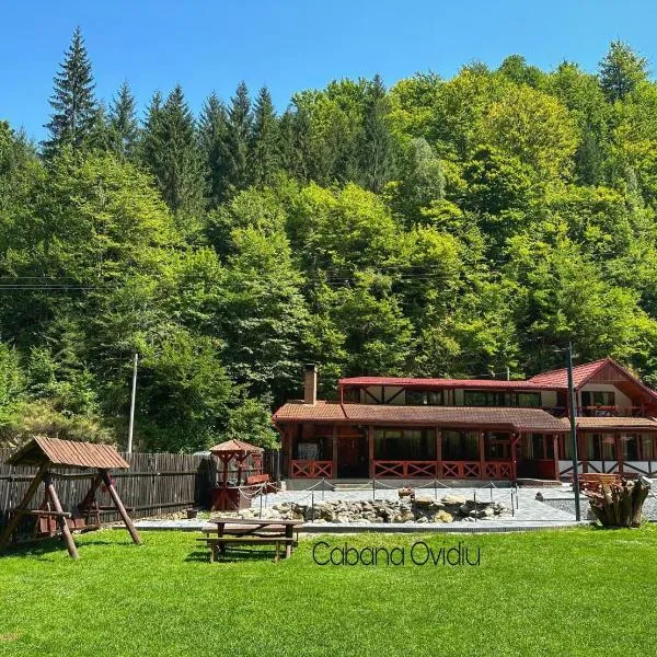 Cabana Ovidiu, hotel di Rau Sadului