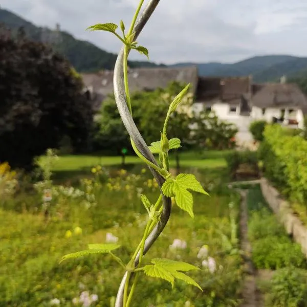 Monkey Factory - Mini Home-Stay Hostel, hotel v destinaci Traben-Trarbach