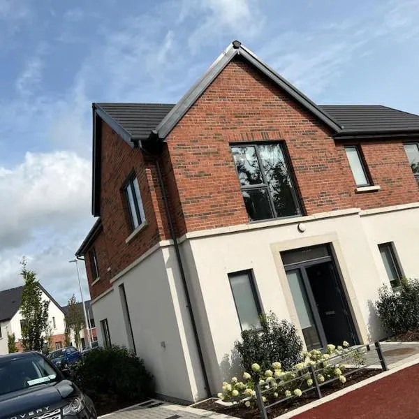 3 bed rooms Vip family house, hotel in Dublin
