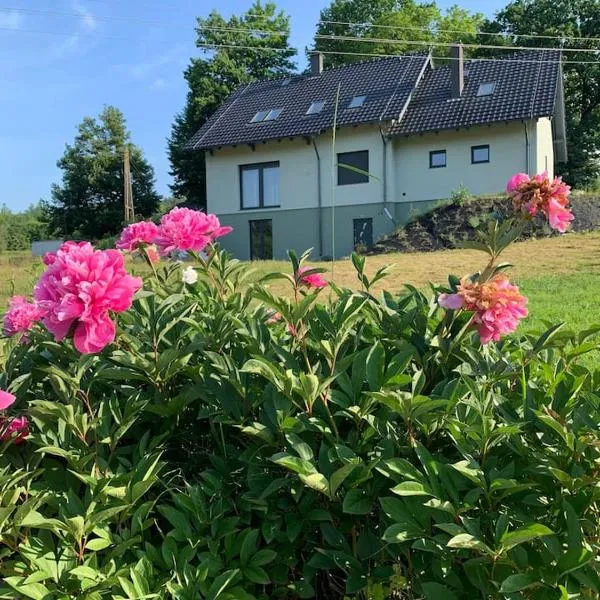 Małe Ziółko, hotel v destinácii Sosnówka