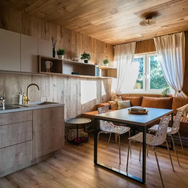 Unique Lipno Apartment, hotell sihtkohas Černá v Pošumaví