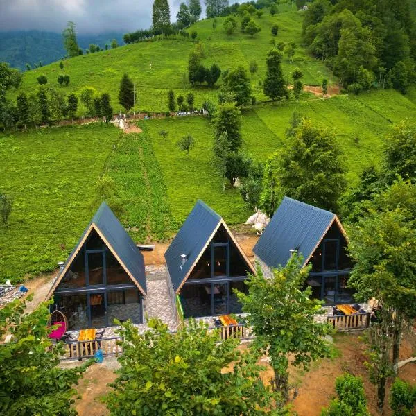 Doğallife suit bungalow, hotel in Çamlıhemşin