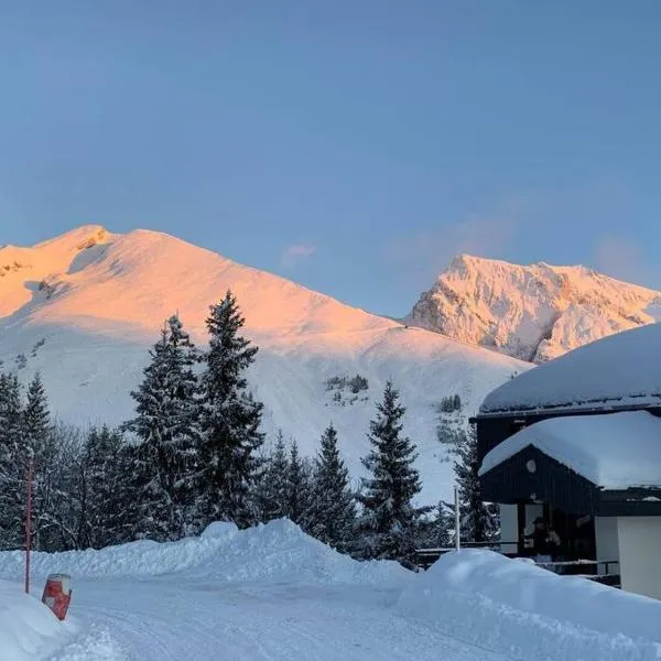 Appartement Manigod/La clusaz, hotel a Manigod