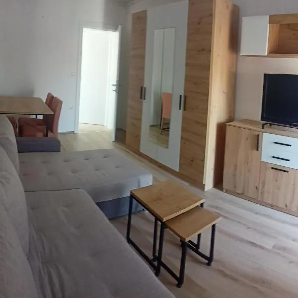 Lane Apartmani, hotel v destinaci Veternik