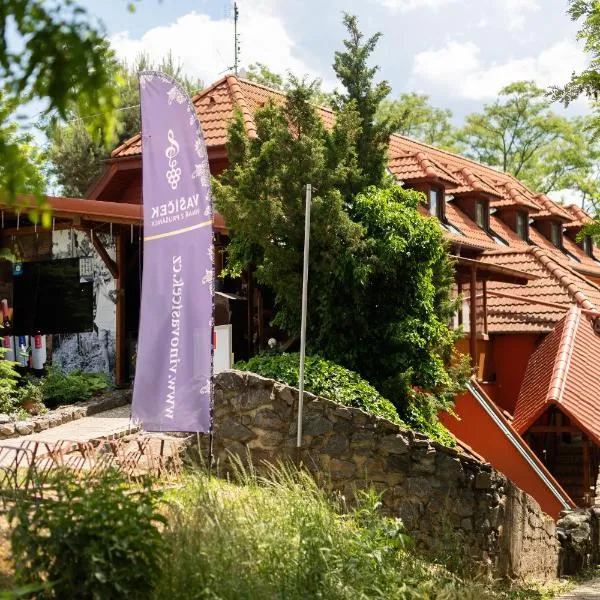 Penzion Nechorka, hotel v Prušánkách