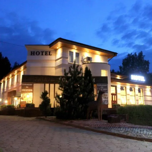 Hotel Pod Jeleniem, hotel in Okoniny Polskie