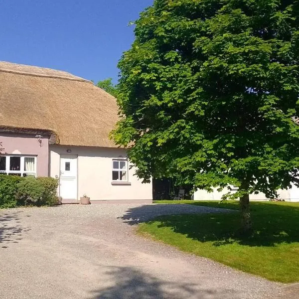 Kilarney cottage, hotel v destinaci Killarney