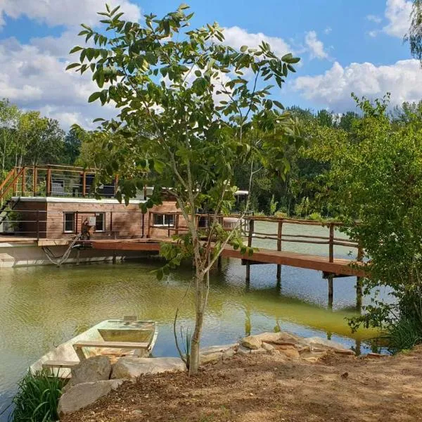 Péniche sur un lac, hotel in Saint-Martin-des-Combes