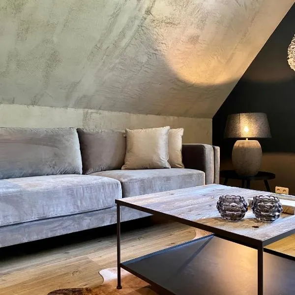 country-suites by verdino LIVING - Apartments & Suites, hotel v destinaci Braunlage