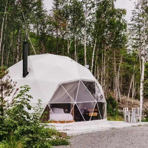 Les diamants de l'éternel, hotel Saint-David-de-Falardeau városában