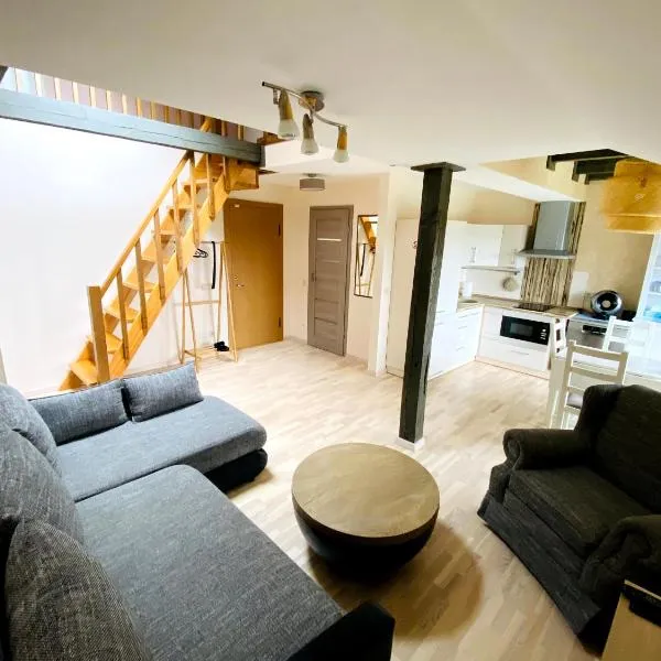 Nida Loft with SPA and Tennis court, hotel a Nida