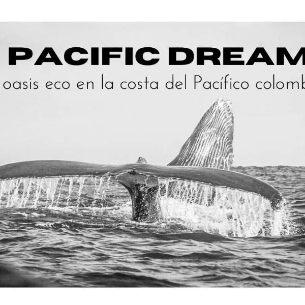 Pacific Dream Eco-Hostal, hotel v destinaci La Barra