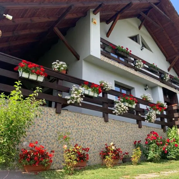 Casa Maria, hotel u gradu 'Lunca Ilvei'
