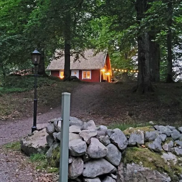 Blueberry Hill, hotel v destinaci Skånes Fagerhult