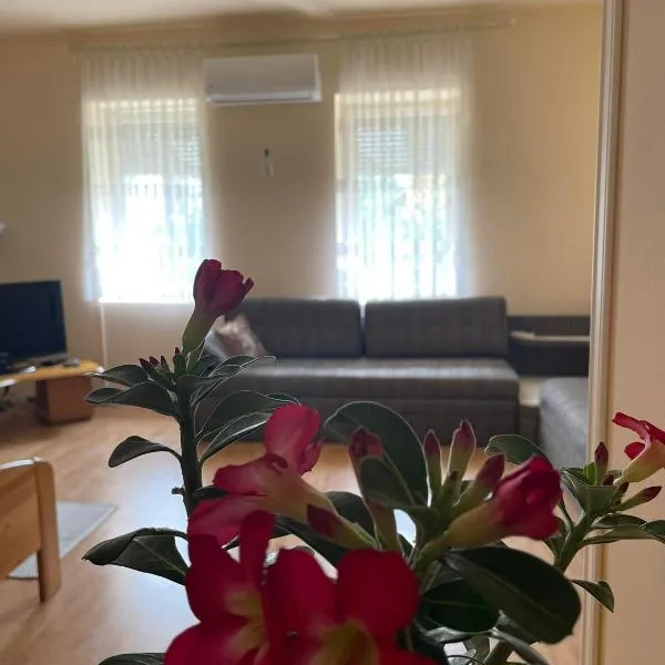 Tápé, hotel v destinaci Szeged