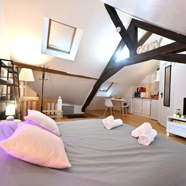 Le Cosy du tambour d'argent, hotel in Sens