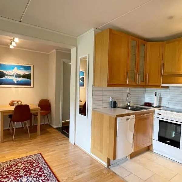Actif 329 - apartment by Ål skisenter, hotel in Ål