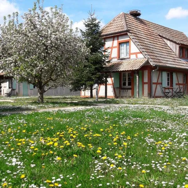 Les Loges de l'Ecomusée D'Alsace, хотел в Feldkirch