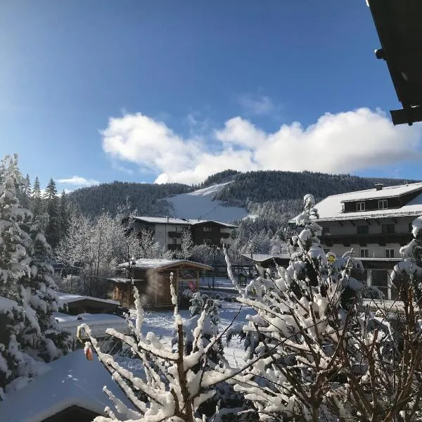 Haus Hoher Sattel, hotel in Leutasch