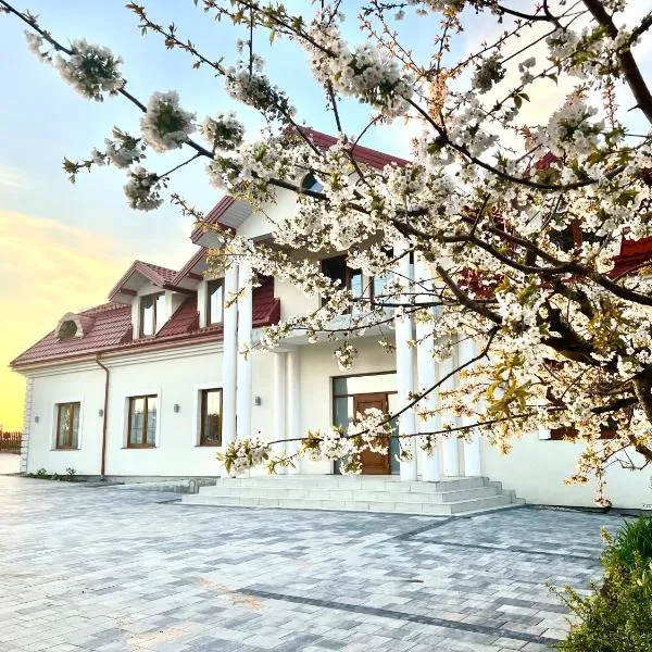 Brzozowy Ług Pensjonat, hotel in Dąbrowa Białostocka