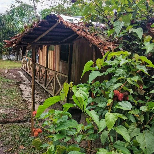 YAKU lodge & camping, hotelli kohteessa Padre Cocha