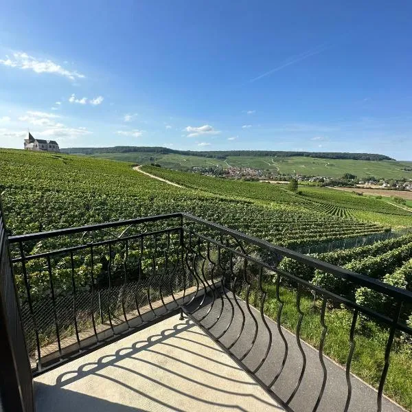 AU COEUR DU TERROIR CHAMPENOIS, Hotel in Chavot-Courcourt