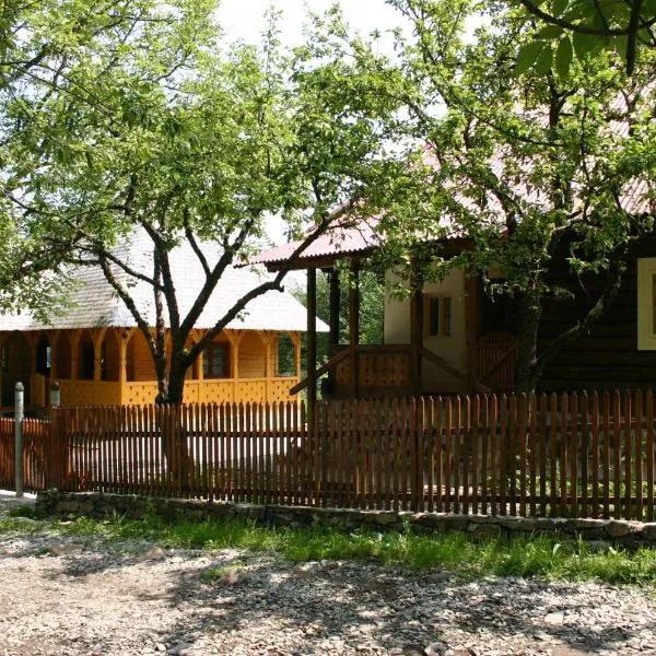 Casa de vacanta Padis, hotel v destinaci Breb