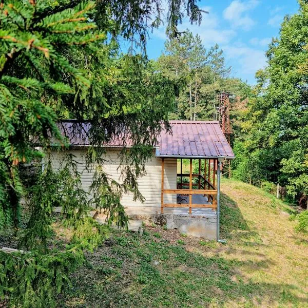 Къмпинг и Бунгала Брусен Хил - Camping and Bungalows Brusen Hill、Brusenのホテル