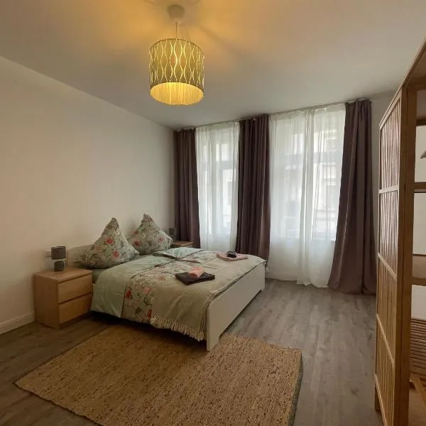 Ferienwohnung * Pension Luisengrün * Magenta TV Netflix 1Gb/s Internet WLAN/Wifi Waschmaschine, hotel in Chemnitz