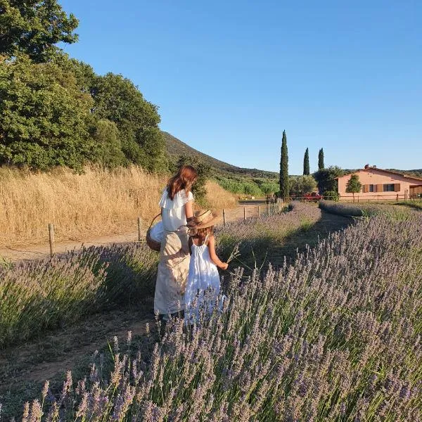 Bio Agriturismo Le Giunchiglie, מלון באלברזה