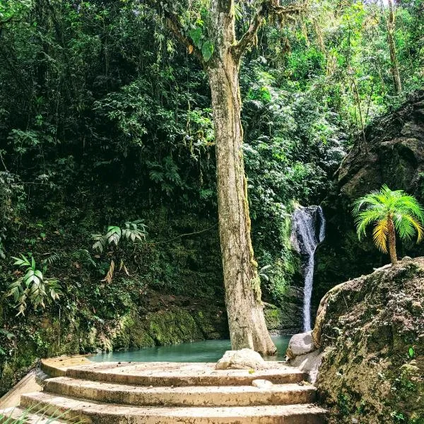 Hotel Rivel - Restaurant & Nature Retreat, hotel in Turrialba