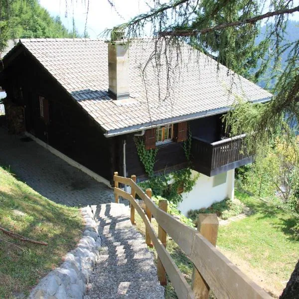Chalet Antoine 5p, hotel in Moleson