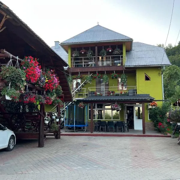 Pensiunea Gaiu, отель в городе Vadu Moţilor