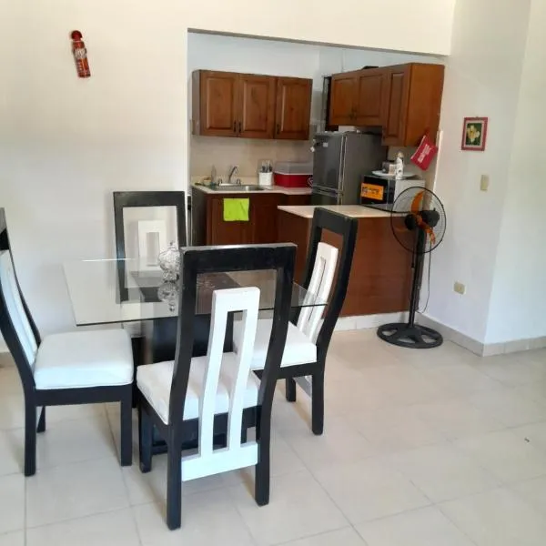 Comodo apartamento en el centro de la ciudad, hotel di Santiago de los Caballeros