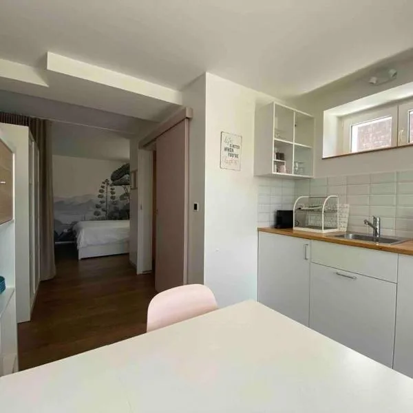 Chaleureux studio entre Neuchatel et Bienne, hotel en Le Landeron