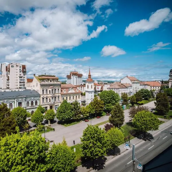 트르구무레슈에 위치한 호텔 플라자 V 이그제큐티브 호텔