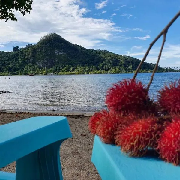 RAIATEA, Opoa, Studio du Fare Rêvé, accès mer privatif, hotel v destinaci Opoa