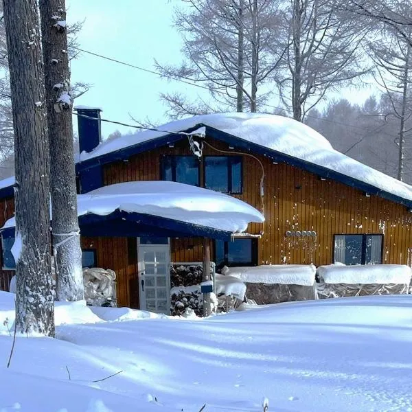 Japan Snowsports, hotel in Iiyama