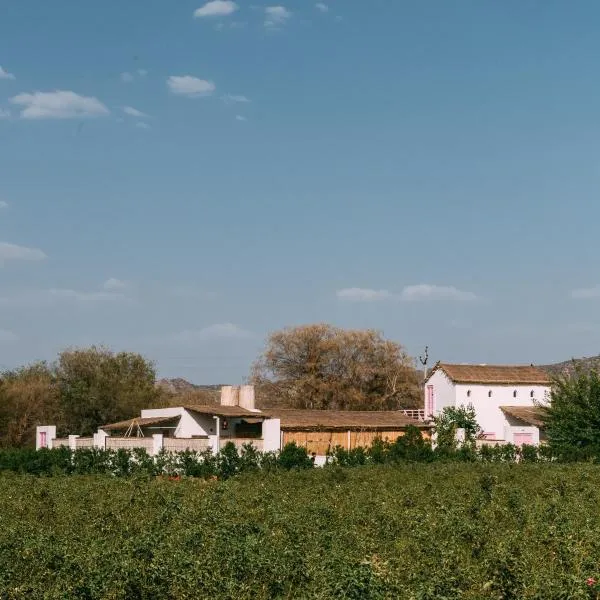 The Luxe Pushkar - A Luxury Farmstay in Pushkar, hotel v destinaci Puškar