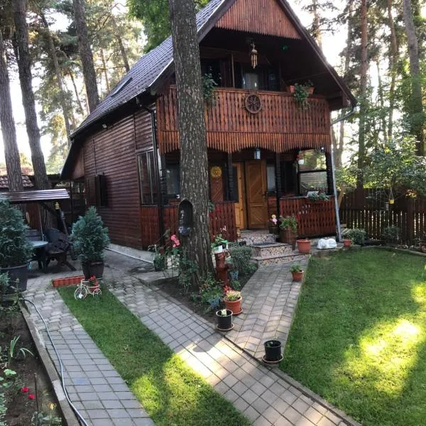 Inchirieri cabana- “Chalet Rustique”, hotel a Moacşa