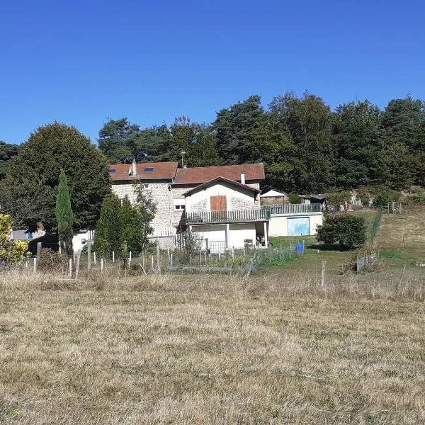 Maison de campagne calme et sérénité, Hotel in Chazelles-sur-Lavieu
